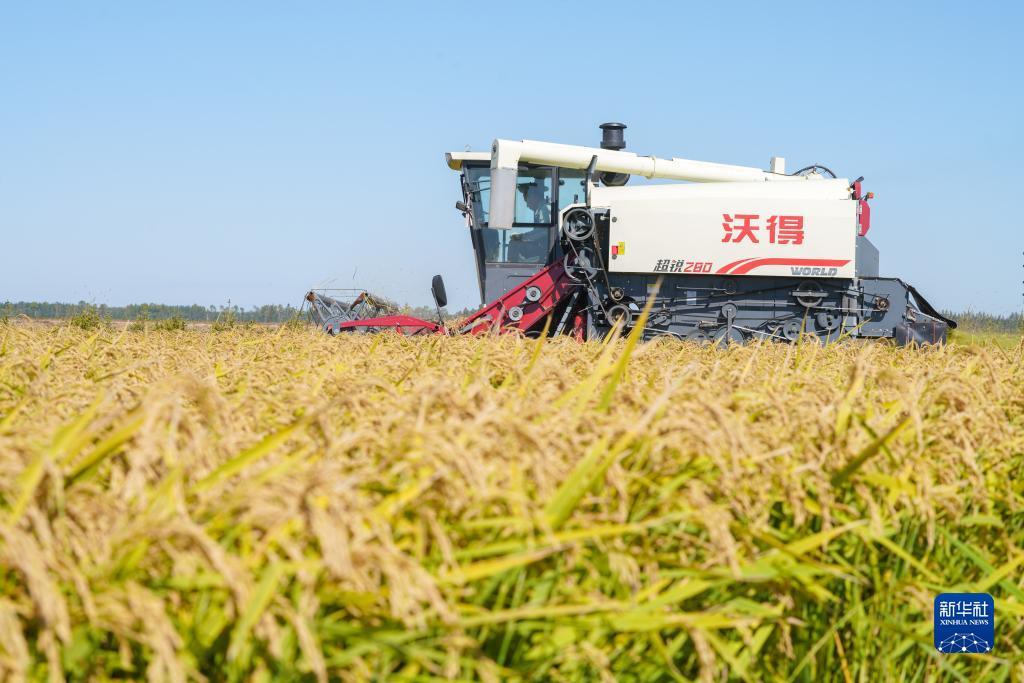 诺亚方舟集团老板简介